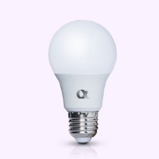 Bulb